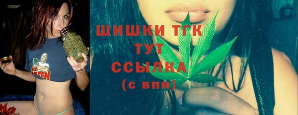 индика Покачи