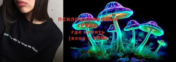 мяу мяу мука Протвино