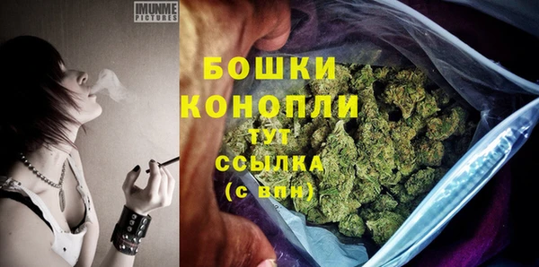 индика Покачи