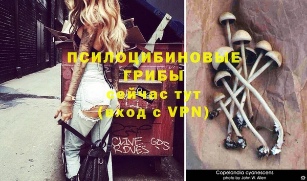 таблы Приозерск